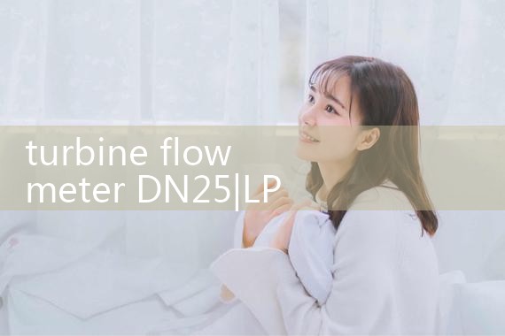 turbine flow meter DN25|vortex flow meter