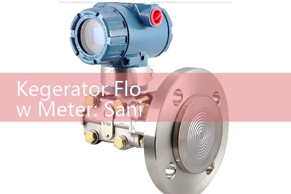 boiler steam flow meter|mass flow meter