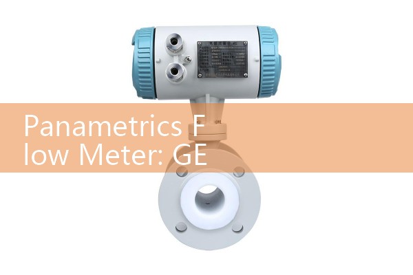 Panametrics Flow Meter: GE Industrial Liquid and Gas Monitoring Manuals