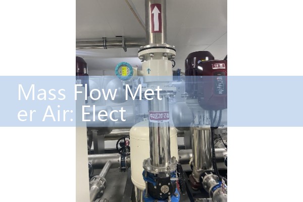 Mass Flow Meter Air: Electronic Precision Industrial Gas Controls