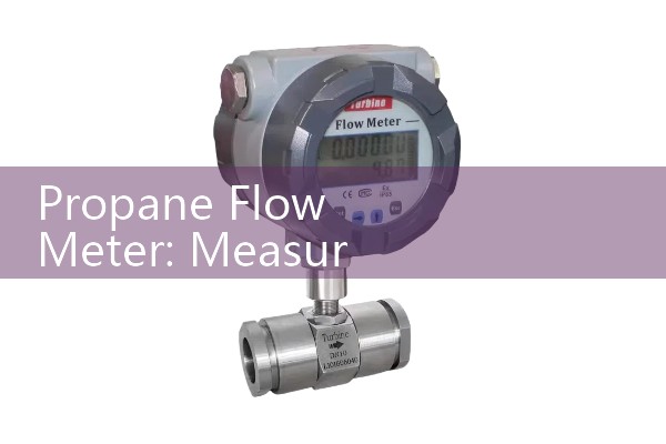digital water flow meter