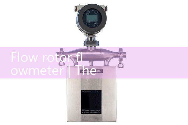 Flow rotor flowmeter