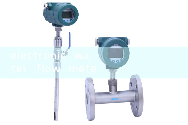 electronic water flow meter|mass flow meter