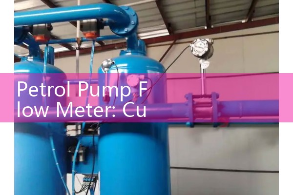 Petrol Pump Flow Meter: Custody Transfer Accuracy for Service Station Valves