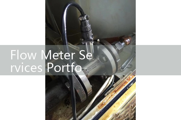 Flow Meter Services Portfolio: Certified Field Inspection, Recalibration, and Commissioning Logs