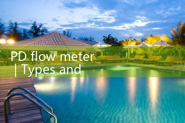 pd flow meter|coriolis mass flow meter