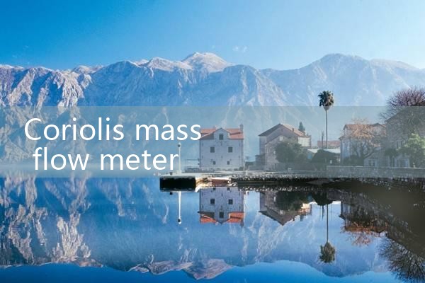 coriolis mass flow|coriolis mass flow meter