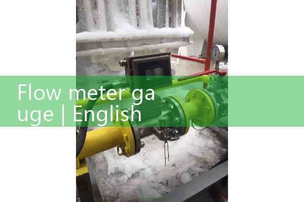 flow meter gauge