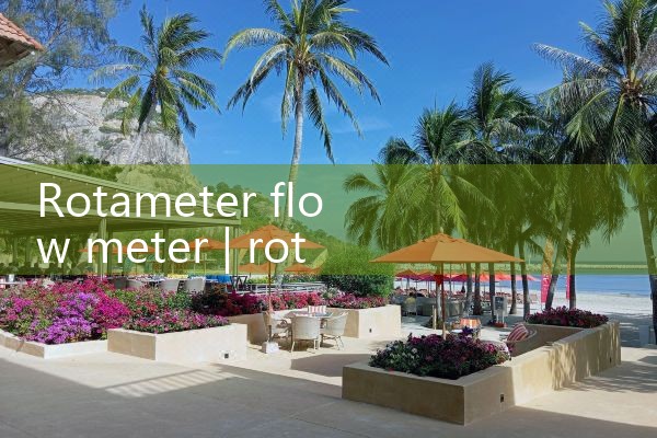 rotameter flow meter|vortex flow meter