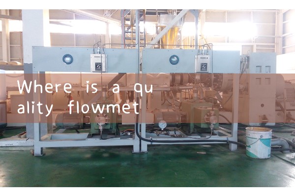 Where is a quality flowmeter manufacturer in Shaanxi