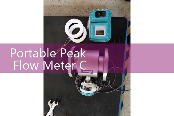 Portable Peak Flow Meter Care: Keeping Track of Asthma at Home