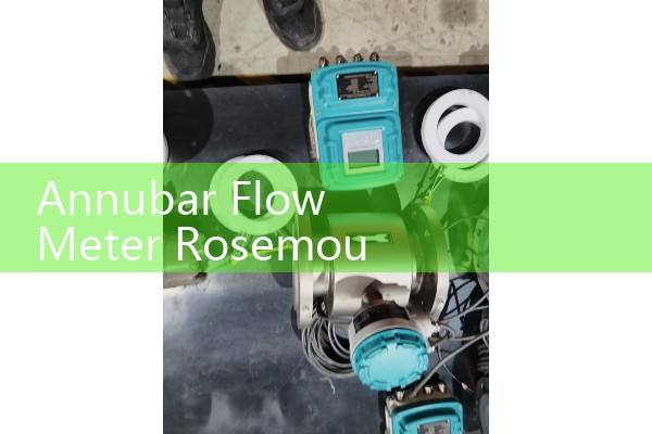 Nozzle Flow Meter: High-Velocity Differential Pressure Element Steam Probes