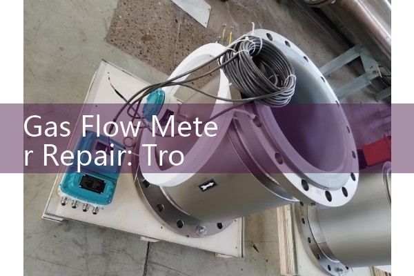 Gas Flow Meter Repair: Troubleshooting and Field Calibration For Vapor Loops