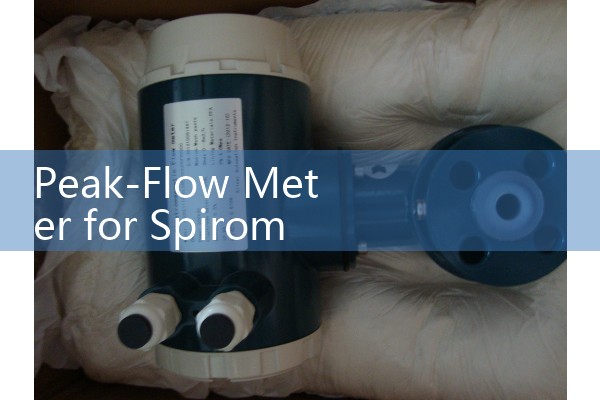 Peak-Flow Meter for Spirometry: Clinical vs At-Home Pulmonary Test Tools