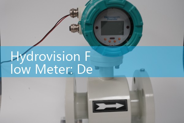 Hydrovision Flow Meter: Deploying Multi-Beam Acoustic Systems for Large Municipal Water Supply Infrastructure