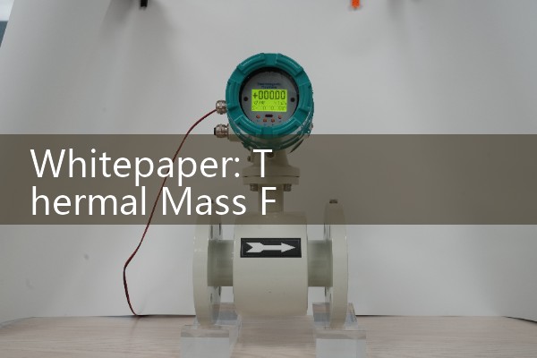 Whitepaper: Thermal Mass Flow Meter vs Coriolis Accuracy Cost Analysis