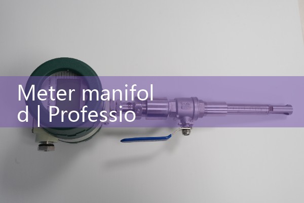 meter manifold