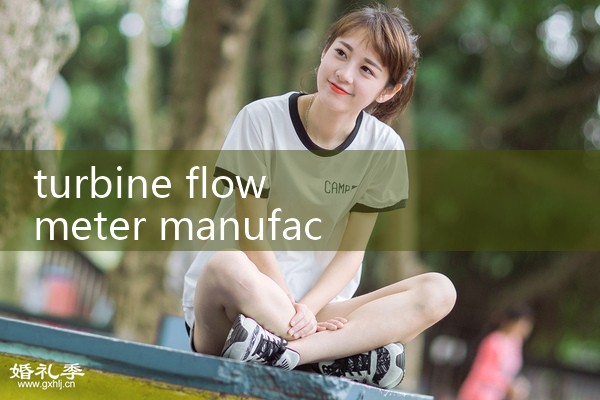 turbine flow meter manufacturer|vortex flow meter