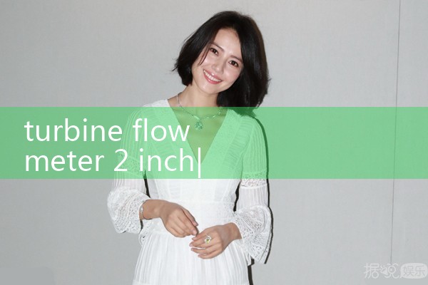 turbine flow meter 2 inch|vortex flow meter