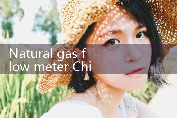 natural gas flow meter China|arduino flow meter