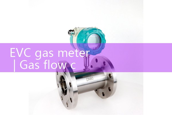 evc gas meter|venturi meter