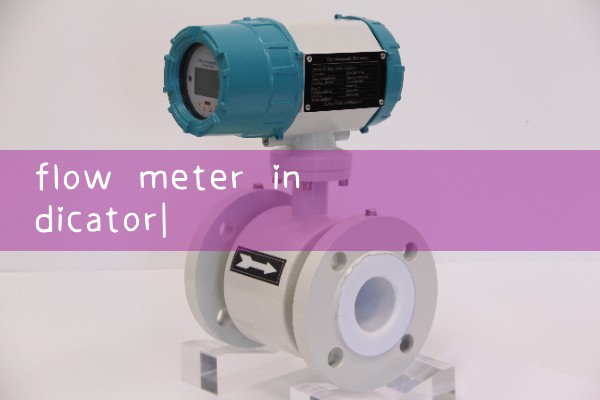 flow meter indicator|mass flow meter