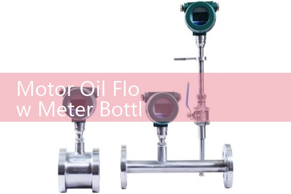 Motor Oil Flow Meter Bottling and Packaging Line Sizing