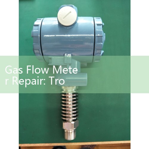 Gas Flow Meter Repair: Troubleshooting and Field Calibration For Vapor Loops
