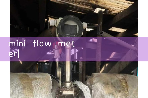 mini flow meter|mass flow meter