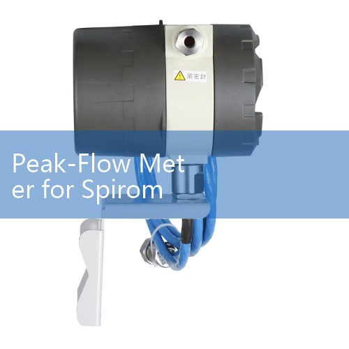 Peak-Flow Meter for Spirometry: Clinical vs At-Home Pulmonary Test Tools