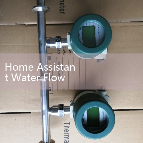 Home Assistant Water Flow Meter Dashboard: Tracking Daily Liters and Leak Alarms in Real-Time
