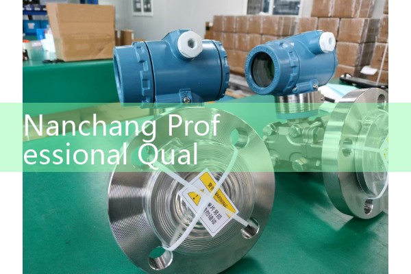 Nanchang professional quality flowmeter manufacturer
