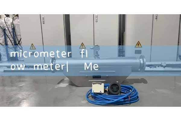 micrometer flow meter|mass flow meter