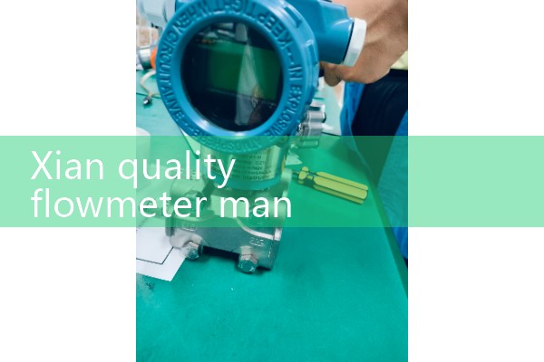 Xian quality flowmeter manufacturer quotation