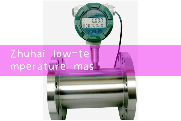 Zhuhai Low Temperature Mass Flow Meter Manufacturer